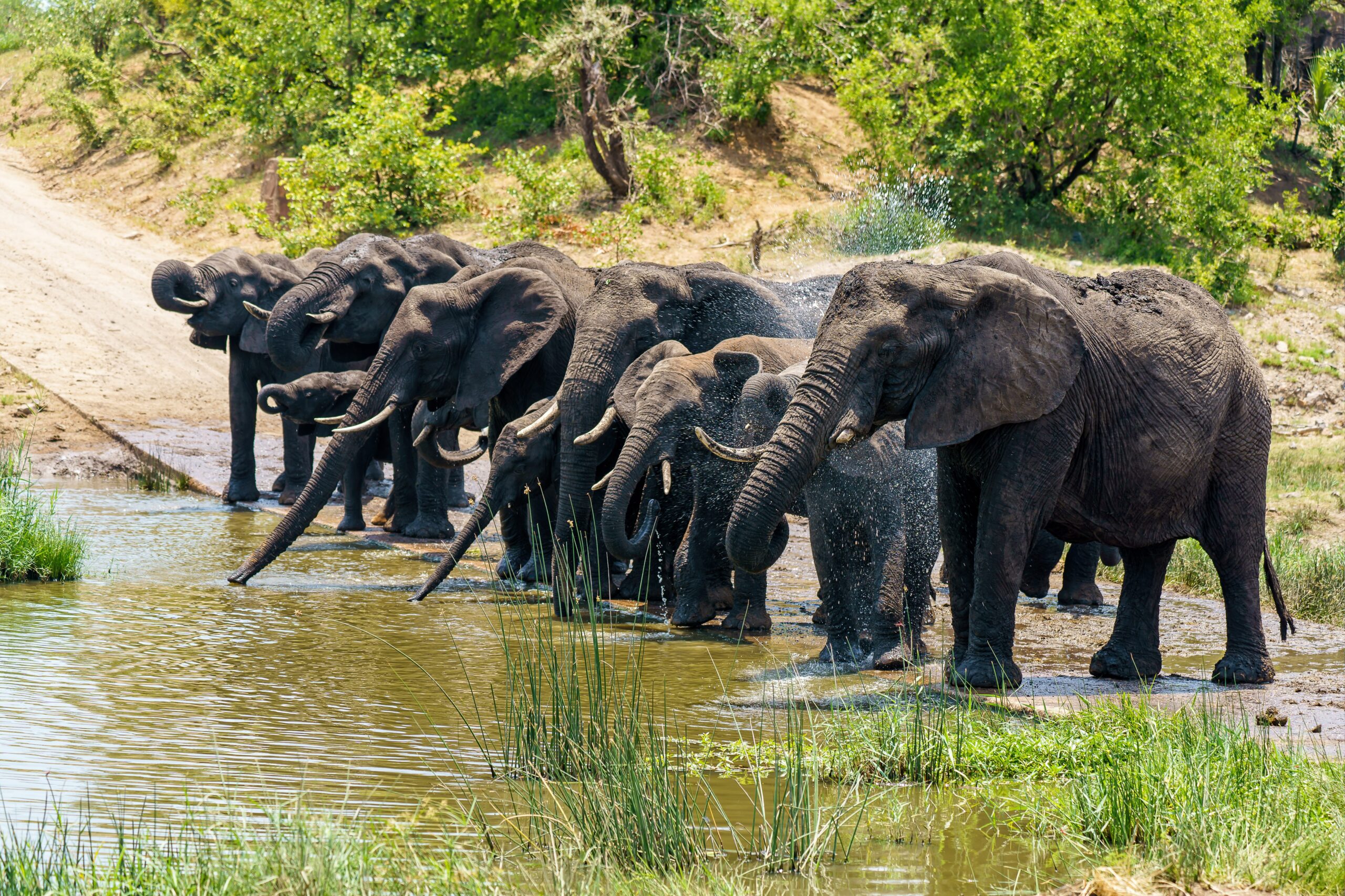 How to Apply for a Zambia eVisa: A Step-by-Step Guide