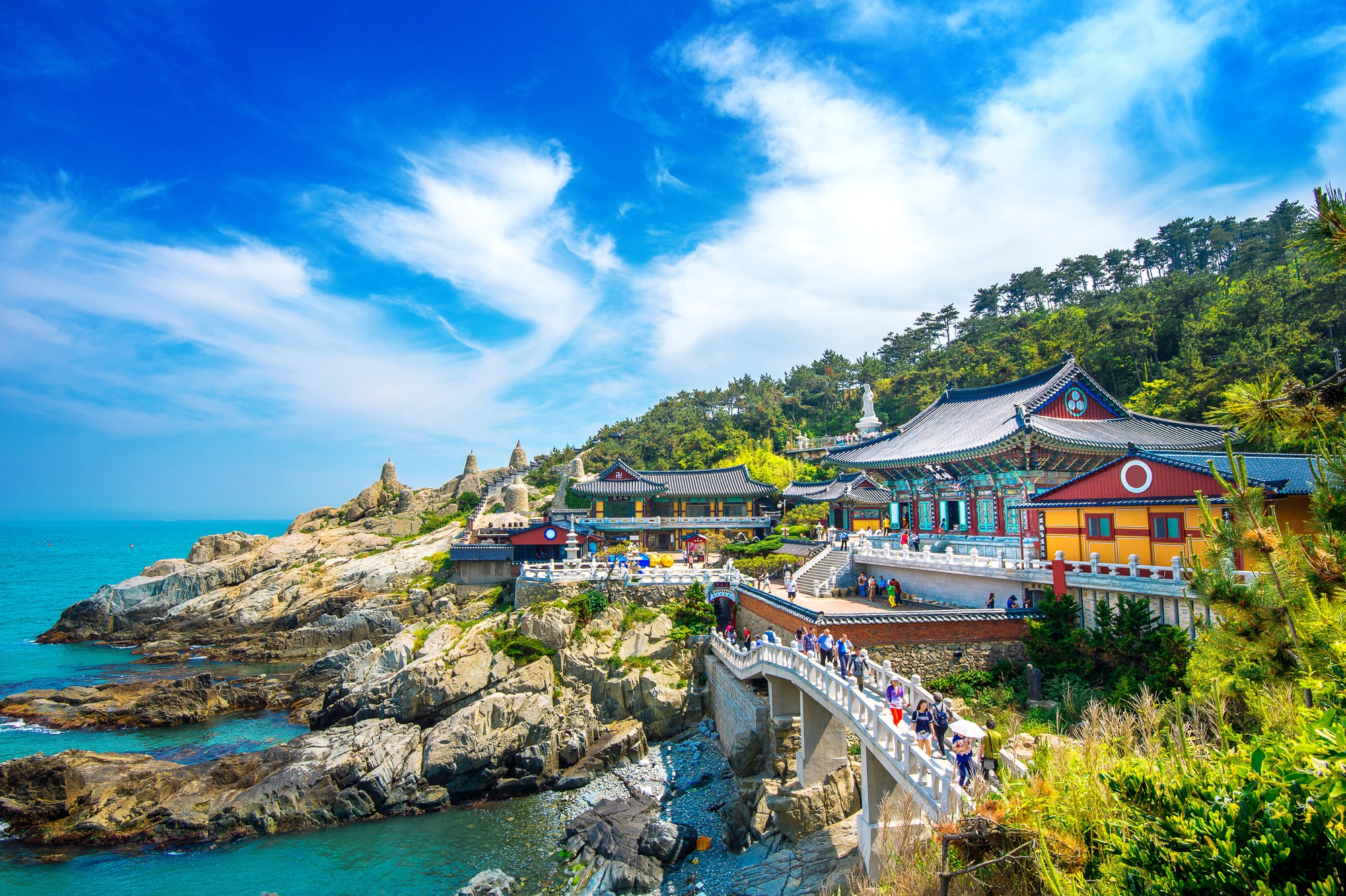 CHECK ALL TYPES OF E VISA FOR KOREA