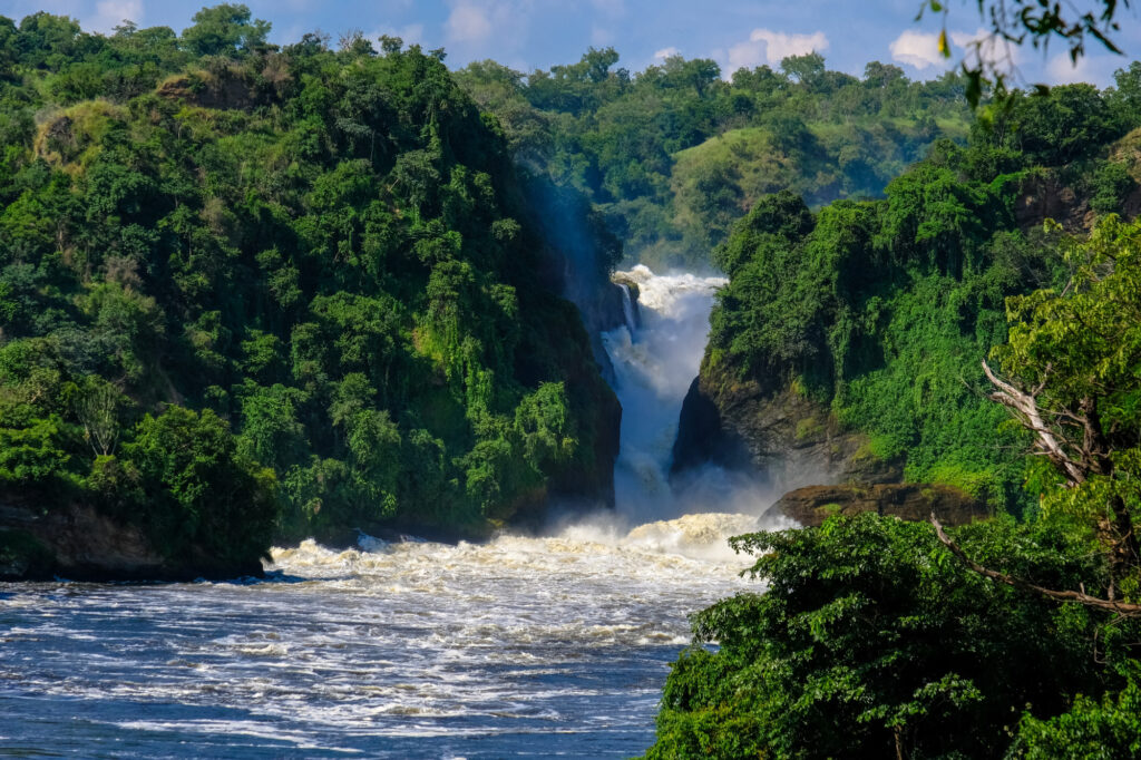 How to Apply for a Zambia eVisa: A Step-by-Step Guide